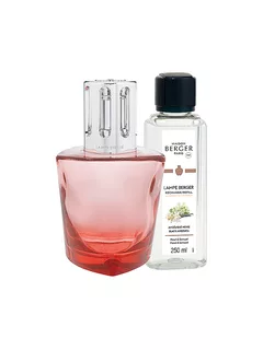 MAISON BERGER PARIS Lampe Berger Set TERRA Rouge Angelique Noire rot