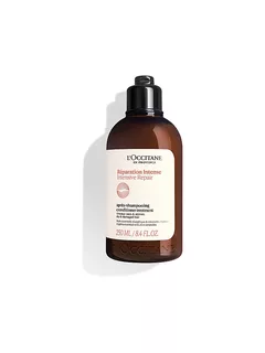 L'Occitane Intensive Repair Conditioner