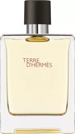 Hermès Terre d'Hermès 100 ml