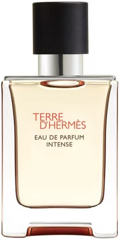 Hermès Hermès Terre d'Hermès Intense 50 · 100 ml