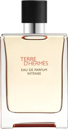 Hermès Hermès Terre d'Hermès Intense 100 ml