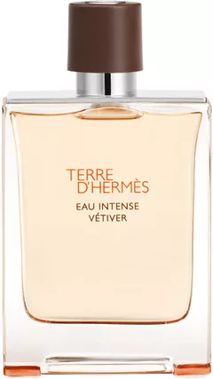 Hermès Terre d'Hermès Eau Intense Vétiver 100 ml