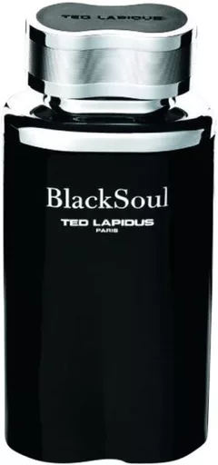TED LAPIDUS BlackSoul Après Rasage After Shave Spray