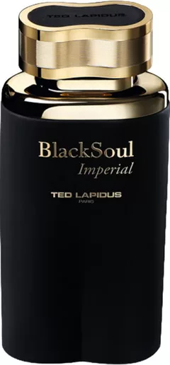 TED LAPIDUS Blacksoul Imperial 100 ml