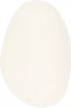 La Compagnie de Provence Extra Pur Solid Face Cleanser