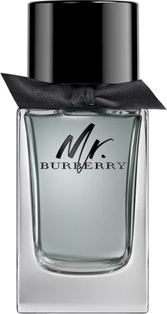 Burberry Mr. Burberry 100 ml