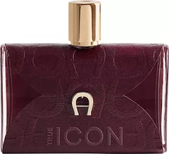 Etienne Aigner Aigner True Icon 100 ml