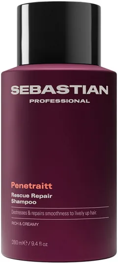 Sebastian Professional Sebastian Penetraitt Shampoo