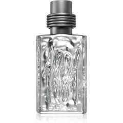 Cerruti 1881 Silver für Herren 50 ml