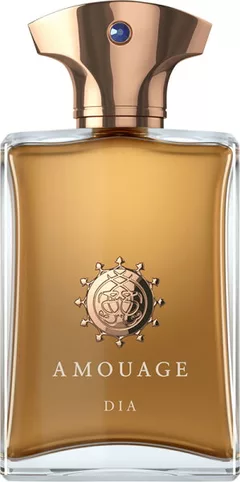 Amouage Dia Man 100 ml