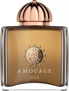 Amouage Dia Woman 100 ml