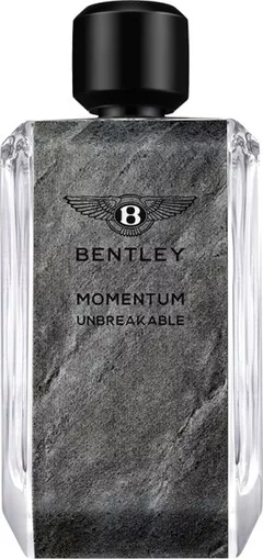Bentley Momentum Unbreakable 100 ml