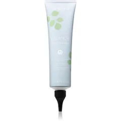 Echosline Balance Detox Treatment Detox-Kur für Haare und Kopfhaut