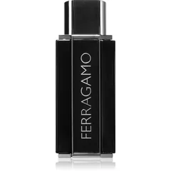 Ferragamo Sublime Leather für Herren 100 ml