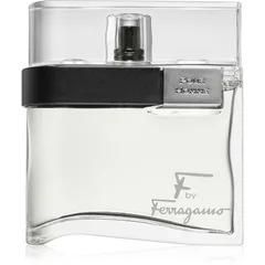 Ferragamo F by Ferragamo für Herren 100 ml