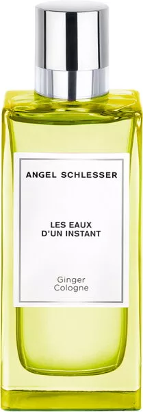 Angel Schlesser Les Eaux d'un Instant Ginger 100 ml