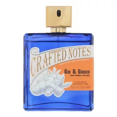Crafted Notes Gin & Ginger 100 ml