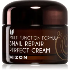 Mizon Multi Function Formula Snail Gesichtscreme mit Filtrat aus Schneckensekret 60%