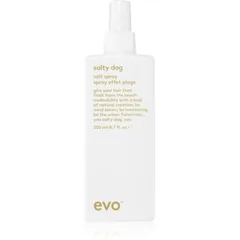 EVO Style Salty Dog salziges Spray für das Haar